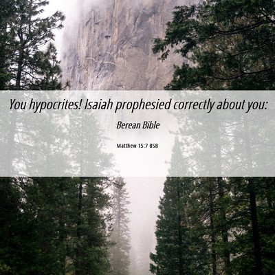 Picture 06 - Matthew 15:7 BSB - You hypocrites! Isaiah prophesied correctly about - Bible Verse Picture
