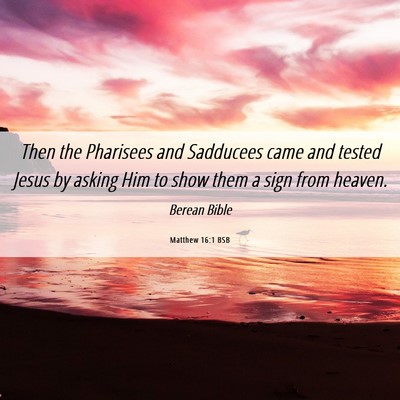 Picture 06 - Matthew 16:1 BSB - Then the Pharisees and Sadducees came and tested - Bible Verse Picture