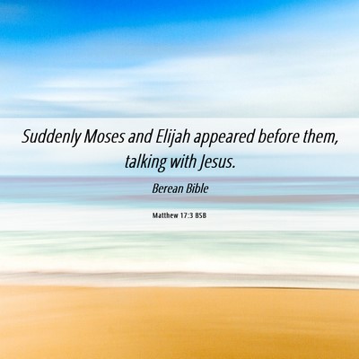 Picture 06 - Matthew 17:3 BSB - Suddenly Moses and Elijah appeared before them, - Bible Verse Picture