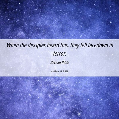 Picture 06 - Matthew 17:6 BSB - When the disciples heard this, they fell facedown - Bible Verse Picture