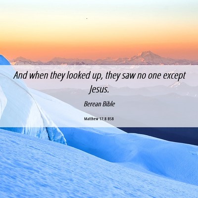 Picture 06 - Matthew 17:8 BSB - And when they looked up, they saw no one except - Bible Verse Picture