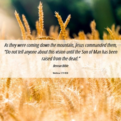 Picture 06 - Matthew 17:9 BSB - As they were coming down the mountain, Jesus - Bible Verse Picture