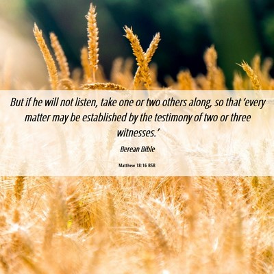 Picture 06 - Matthew 18:16 BSB - But if he will not listen, take one or two others - Bible Verse Picture
