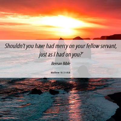 Picture 06 - Matthew 18:33 BSB - Shouldn’t you have had mercy on your fellow - Bible Verse Picture