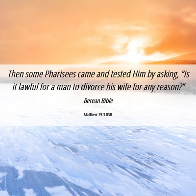 Picture 06 - Matthew 19:3 BSB - Then some Pharisees came and tested Him by - Bible Verse Picture