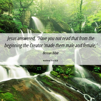 Picture 06 - Matthew 19:4 BSB - Jesus answered, “Have you not read that from - Bible Verse Picture