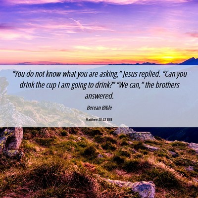 Picture 06 - Matthew 20:22 BSB - “You do not know what you are asking,” Jesus - Bible Verse Picture