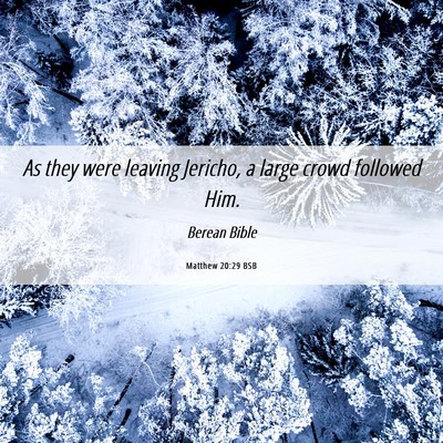 Picture 06 - Matthew 20:29 BSB - As they were leaving Jericho, a large crowd - Bible Verse Picture