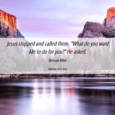 Picture 06 - Matthew 20:32 BSB - Jesus stopped and called them. “What do you - Bible Verse Picture