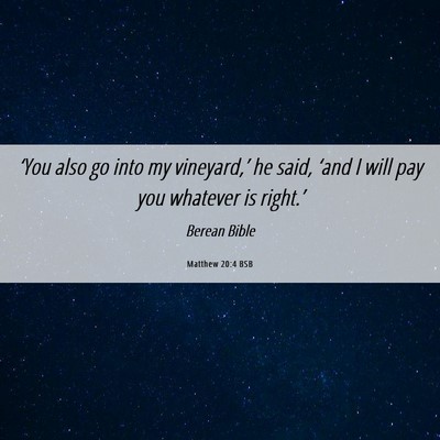 Picture 06 - Matthew 20:4 BSB - ‘You also go into my vineyard,’ he said, - Bible Verse Picture