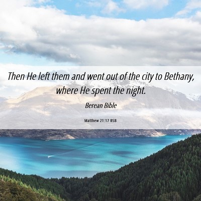Picture 06 - Matthew 21:17 BSB - Then He left them and went out of the city to - Bible Verse Picture