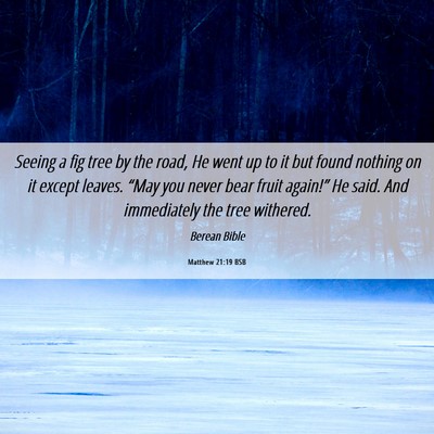 Picture 06 - Matthew 21:19 BSB - Seeing a fig tree by the road, He went up to it - Bible Verse Picture