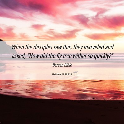 Picture 06 - Matthew 21:20 BSB - When the disciples saw this, they marveled and - Bible Verse Picture