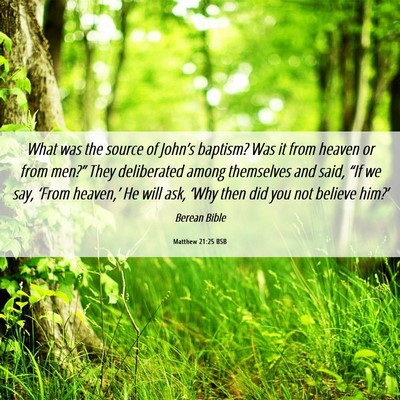 Picture 06 - Matthew 21:25 BSB - What was the source of John’s baptism? Was it - Bible Verse Picture