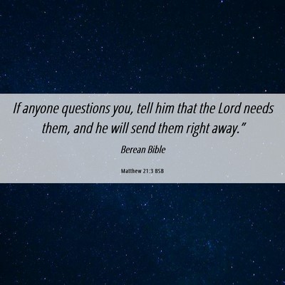 Picture 06 - Matthew 21:3 BSB - If anyone questions you, tell him that the Lord - Bible Verse Picture