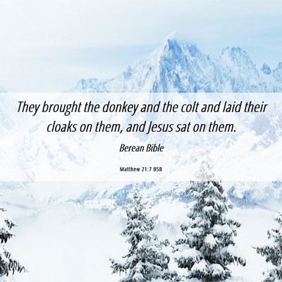 Picture 06 - Matthew 21:7 BSB - They brought the donkey and the colt and laid - Bible Verse Picture