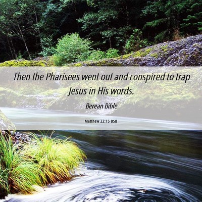 Picture 06 - Matthew 22:15 BSB - Then the Pharisees went out and conspired to trap - Bible Verse Picture