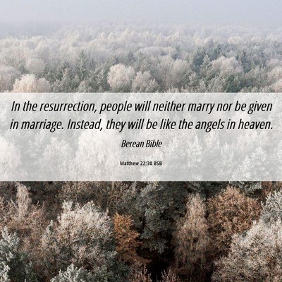 Picture 06 - Matthew 22:30 BSB - In the resurrection, people will neither marry - Bible Verse Picture