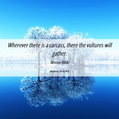 Picture 06 - Matthew 24:28 BSB - Wherever there is a carcass, there the vultures - Bible Verse Picture