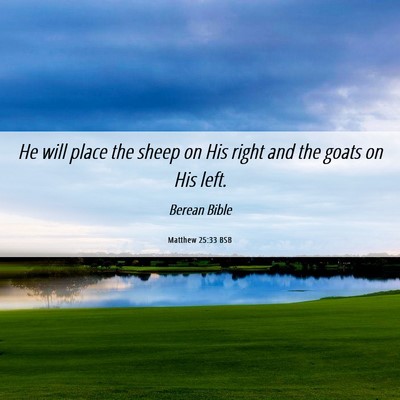Picture 06 - Matthew 25:33 BSB - He will place the sheep on His right and the - Bible Verse Picture