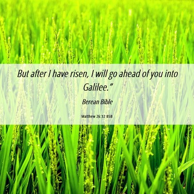 Picture 06 - Matthew 26:32 BSB - But after I have risen, I will go ahead of you - Bible Verse Picture