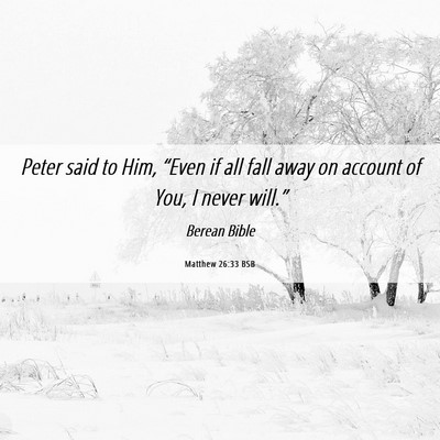 Picture 06 - Matthew 26:33 BSB - Peter said to Him, “Even if all fall away on - Bible Verse Picture