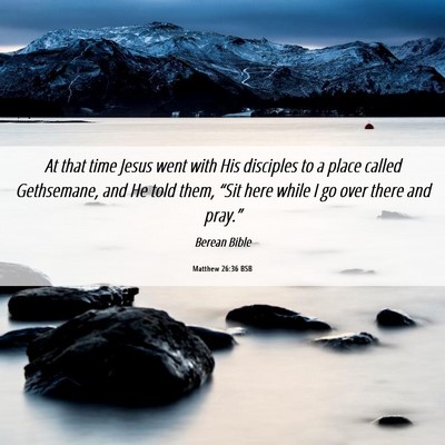 Picture 06 - Matthew 26:36 BSB - At that time Jesus went with His disciples to a - Bible Verse Picture
