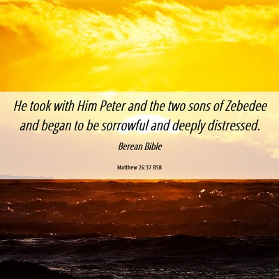 Picture 06 - Matthew 26:37 BSB - He took with Him Peter and the two sons of - Bible Verse Picture