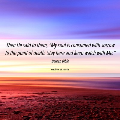 Picture 06 - Matthew 26:38 BSB - Then He said to them, “My soul is consumed with - Bible Verse Picture