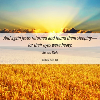Picture 06 - Matthew 26:43 BSB - And again Jesus returned and found them - Bible Verse Picture