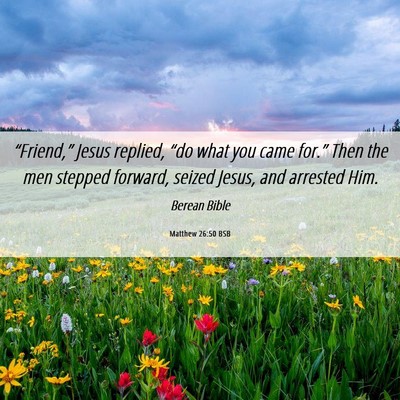 Picture 06 - Matthew 26:50 BSB - “Friend,” Jesus replied, “do what you came - Bible Verse Picture