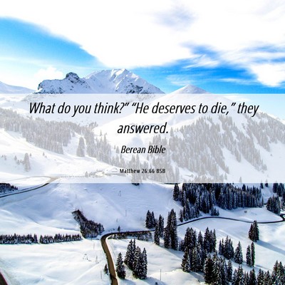 Picture 06 - Matthew 26:66 BSB - What do you think?” “He deserves to die,” - Bible Verse Picture