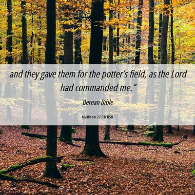 Picture 06 - Matthew 27:10 BSB - and they gave them for the potter’s field, as - Bible Verse Picture