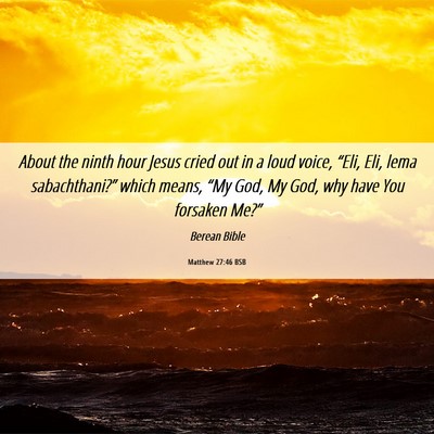 Picture 06 - Matthew 27:46 BSB - About the ninth hour Jesus cried out in a loud - Bible Verse Picture