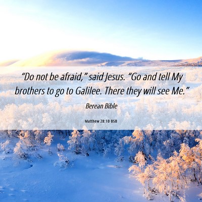 Picture 06 - Matthew 28:10 BSB - “Do not be afraid,” said Jesus. “Go and - Bible Verse Picture