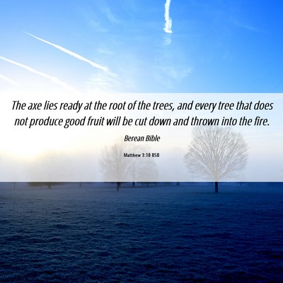Picture 06 - Matthew 3:10 BSB - The axe lies ready at the root of the trees, and - Bible Verse Picture