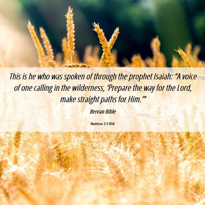 Picture 06 - Matthew 3:3 BSB - This is he who was spoken of through the prophet - Bible Verse Picture