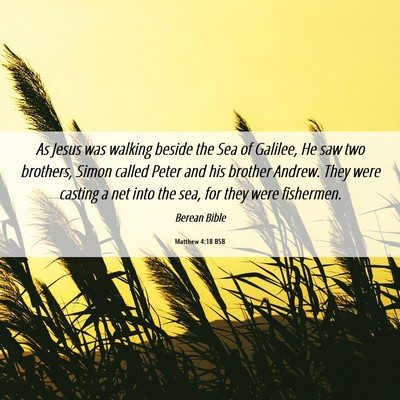 Picture 06 - Matthew 4:18 BSB - As Jesus was walking beside the Sea of Galilee, - Bible Verse Picture