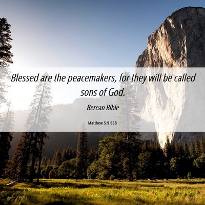 Picture 06 - Matthew 5:9 BSB - Blessed are the peacemakers, for they will be - Bible Verse Picture