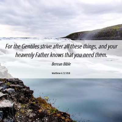 Picture 06 - Matthew 6:32 BSB - For the Gentiles strive after all these things, - Bible Verse Picture
