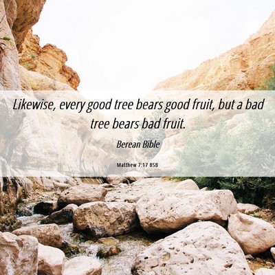 Picture 06 - Matthew 7:17 BSB - Likewise, every good tree bears good fruit, but a - Bible Verse Picture