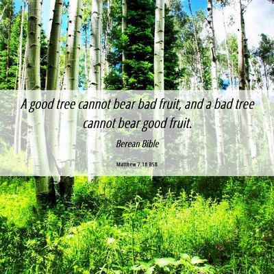 Picture 06 - Matthew 7:18 BSB - A good tree cannot bear bad fruit, and a bad tree - Bible Verse Picture