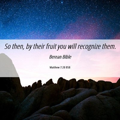 Picture 06 - Matthew 7:20 BSB - So then, by their fruit you will recognize - Bible Verse Picture