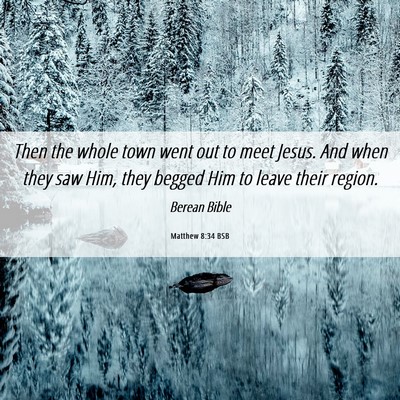 Picture 06 - Matthew 8:34 BSB - Then the whole town went out to meet Jesus. And - Bible Verse Picture