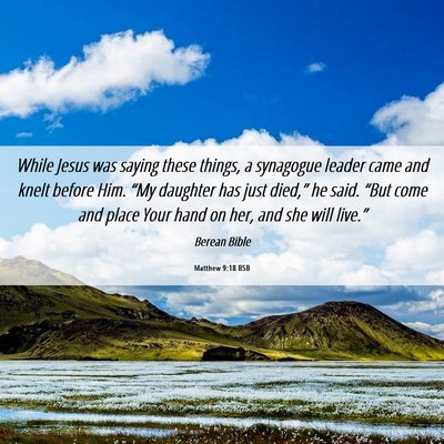 Picture 06 - Matthew 9:18 BSB - While Jesus was saying these things, a synagogue - Bible Verse Picture