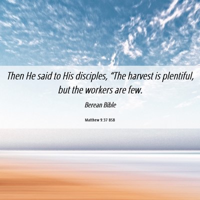 Picture 06 - Matthew 9:37 BSB - Then He said to His disciples, “The harvest is - Bible Verse Picture