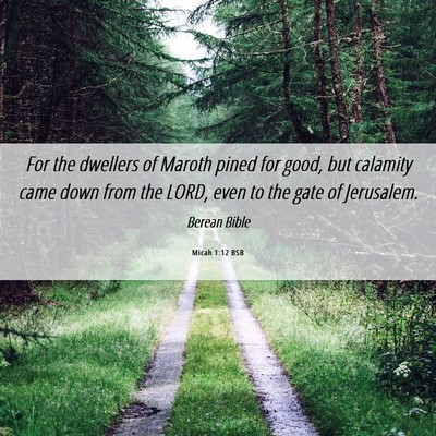 Picture 06 - Micah 1:12 BSB - For the dwellers of Maroth pined for good, but - Bible Verse Picture