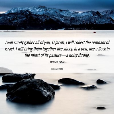 Picture 06 - Micah 2:12 BSB - I will surely gather all of you, O Jacob; I will - Bible Verse Picture