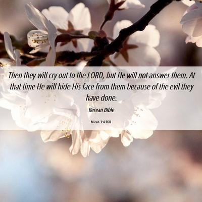 Picture 06 - Micah 3:4 BSB - Then they will cry out to the LORD, but He will - Bible Verse Picture