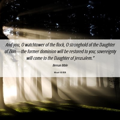 Picture 06 - Micah 4:8 BSB - And you, O watchtower of the flock, O stronghold - Bible Verse Picture